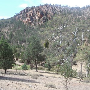 Warren Gorge Camping area