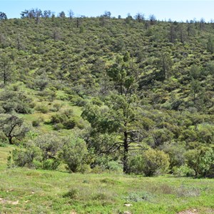 Yarrah Vale Gorge