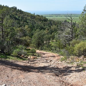 Yarrah Vale Gorge