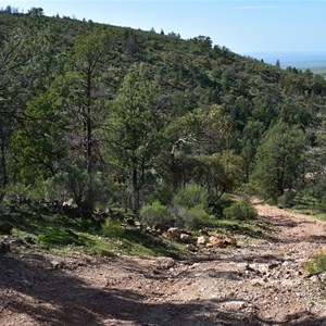 Yarrah Vale Gorge