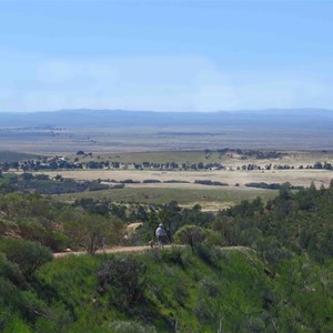 Yarra Vale Gorge