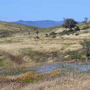 Yarra Vale Gorge