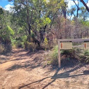 Northern side new track