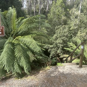 Forth Falls Trailhead