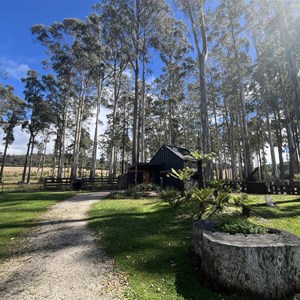 The Truffle Farm