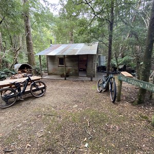 Hills Logging Hut