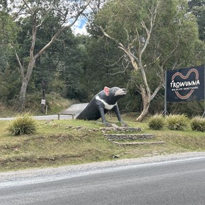 Trowunna Wildlife Sanctuary