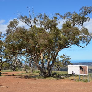 Hancocks Lookout