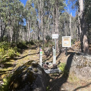 Mose Creek Track Carpark & Trailhead