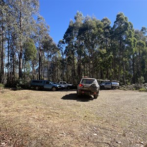 Mose Creek Track Carpark & Trailhead