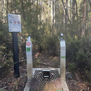 Lake Myrtle Track