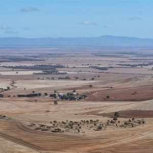 Mount Robert