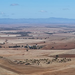 Mount Robert