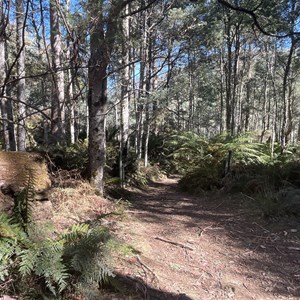 Trailhead & Carpark/bush camp