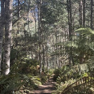 Trailhead & Carpark/bush camp