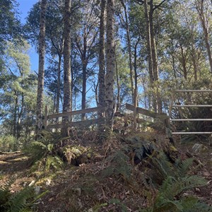 Trailhead & Carpark/bush camp