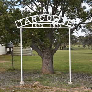 Tarcowie