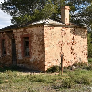 Tarcowie