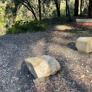 Lane Cove River Kayak / Canoe Launching Area