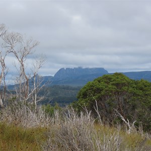 Cradle Mountain view