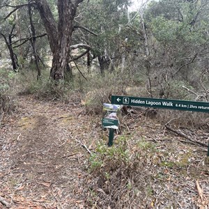 Hidden Lagoon Walk