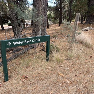 Water Race Circuit