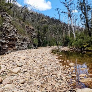 Wadbilliga River - Wadbilliga Nat Park NSW
