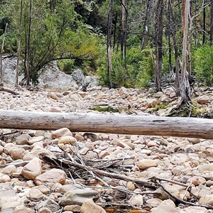 Lake Creek Campground - Wadbilliga Nat Park NSW