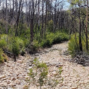 Lake Creek Campground - Wadbilliga Nat Park NSW
