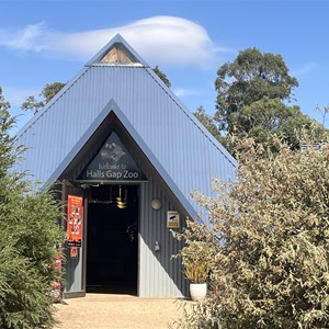 Halls Gap Zoo