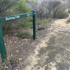 Burrong Falls Trailhead Carpark