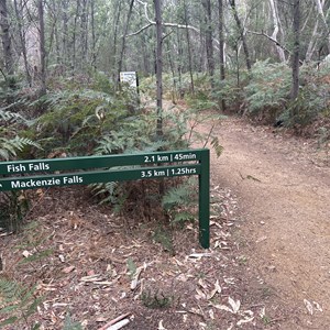 Fish & Mackenzie Falls River Walk