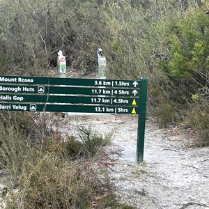 Stony Creek Road Trailhead