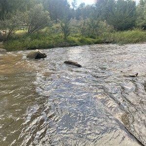 Paddy’s River Crossing