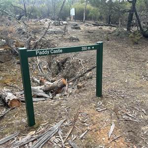 Paddy Castle Trail