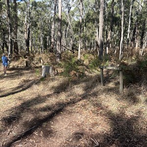 Summit Walk Trail