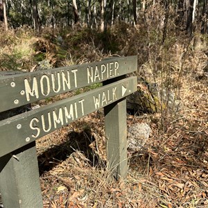 Summit Walk Trail