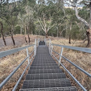 Mount Rouse Lookout