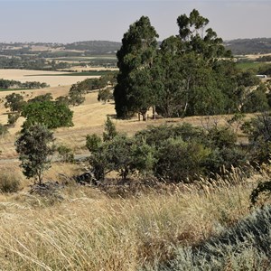Quarry Hill Lookout