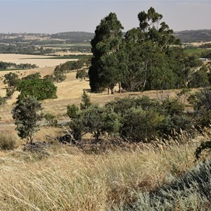 Quarry Hill Lookout