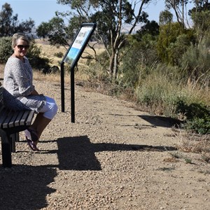 Quarry Hill Lookout