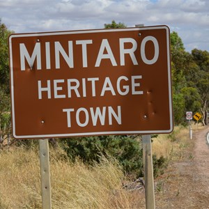 Mintaro 