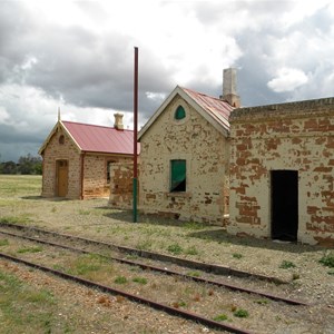 terowie