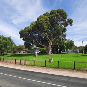 Overview of park