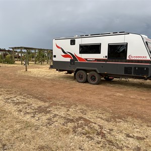 Swan Street Vineyard