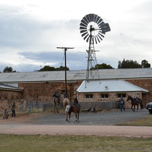 Bungaree