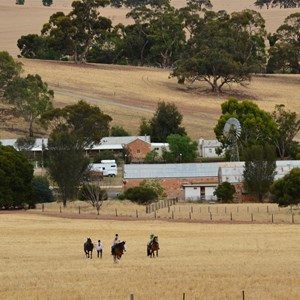 Bungaree