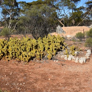 Old Gluepot
