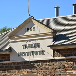 Tarlee 