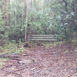 Australian ALPS Walking Track